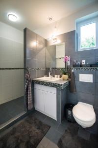 uma casa de banho com um WC, um lavatório e um chuveiro em Csuka48 Apartman em Szarvas