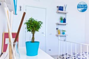 Knihovna v bed and breakfast