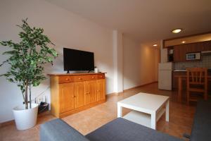 Μια τηλεόραση ή/και κέντρο ψυχαγωγίας στο Pont de Toneta 1,4 Ransol, Zona Grandvalira +1 φωτογραφίες