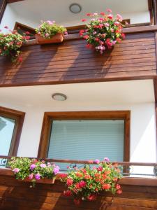 Gallery image of Dari Guest Rooms Стаи за гости Дари in Nesebar +11 photos