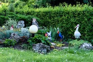 dos pájaros en un jardín con rocas y plantas en Vila Saltanat 41 en Varna