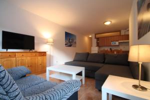 a living room with a couch and a tv at Pont de Toneta 1,6 Ransol, Zona Grandvalira in Ransol