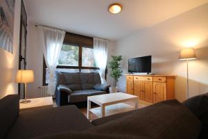 a living room with a couch and a tv at Pont de Toneta 1,6 Ransol, Zona Grandvalira in Ransol