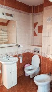 a bathroom with a toilet and a sink at Dom u Kapitana w Lubiatowie in Lubiatowo
