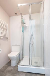 a bathroom with a shower and a toilet at Apartament Zamkowy in Lądek-Zdrój