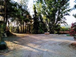 Príroda v okolí of the country house