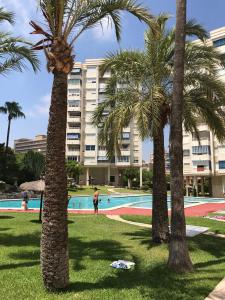 un grupo de palmeras frente a una piscina en Playa Dos Avenidas en Alicante