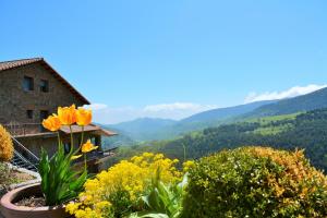 a view of a mountain with flowers and a house at El Serrat De Tregura in Vilallonga de Ter