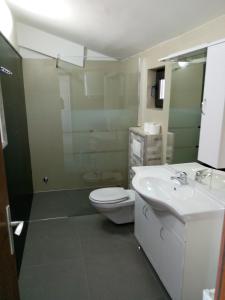 a bathroom with a toilet and a sink and a shower at Maestral Apartments in Malinska +32 photos