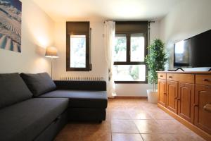 ein Wohnzimmer mit einem Sofa und einem Flachbild-TV in der Unterkunft Pont de Toneta 3,2 Ransol, Zona Grandvalira in Ransol