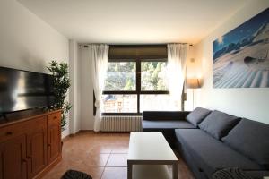 sala de estar con sofá azul y ventana grande en Pont de Toneta 3,3 Ransol, Zona Grandvalira, en Ransol