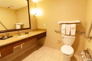 a bathroom with a toilet and a sink at Hotel Kelowna & Conference Centre in Kelowna