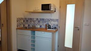 Kuchyň nebo kuchyňský kout v ubytování Apartmány Malý mnich