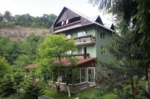 una gran casa verde en medio de un bosque en Pensiunea Limpedea, en Baia-Sprie