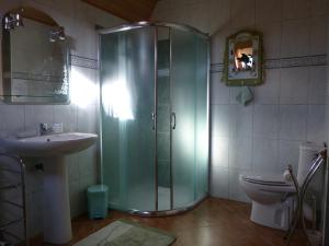 La Barthe-de-Neste的住宿－樂普隆達特住宿加早餐旅館，带淋浴、盥洗盆和卫生间的浴室