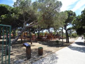 a playground in a park with trees and a swing set at Oceanos in Costa da Caparica