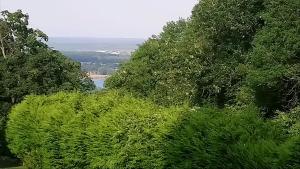 度假屋周边自然景观