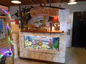 a fake fireplace with a fish tank in a store at Les 3 Marmottes in Lus-la-Croix-Haute