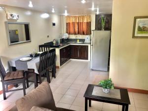 Kuchyň nebo kuchyňský kout v ubytování Pal-Watson Apartments