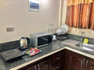 Kuchyň nebo kuchyňský kout v ubytování Pal-Watson Apartments