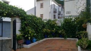 a courtyard with plants in front of a building at Don Claudio in Grazalema