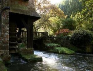 Gambar di galeri bagi Le Moulin Fleuri du Petit Appeville di Petit-Appeville