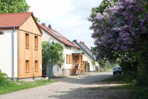 une rue dans un village avec des maisons aux fleurs violettes dans l'établissement Dreigärten Brodowin, à Brodowin