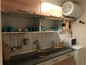 Köök või kööginurk majutusasutuses Chata Domaša - Monika