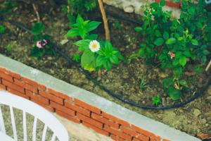 Gallery image of Dantel Butik Ev Pansiyon in Kas +30 photos