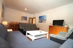 a living room with a couch and a tv at Pont de Toneta 5,1 Ransol, Zona Grandvalira in Ransol