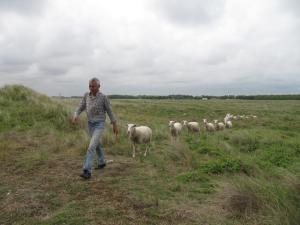 Altri animali domestici presso il bed & breakfast o nei dintorni