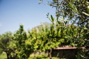 A garden outside Casa Vacanza Dal Cavaliere