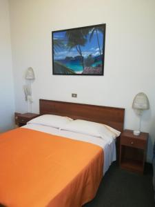 Un pat sau paturi într-o cameră la Hotel Tuscolano