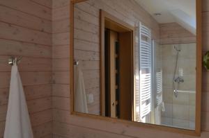 a mirror in a bathroom with a shower at Dom Na Pstrążnicy in Kudowa-Zdrój +58 photos