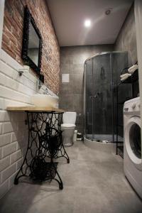 een badkamer met een douche, een toilet en een wasmachine bij Apartament LOFT Industrial EC1 in Łódź