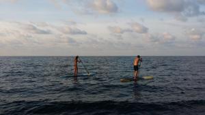 two people standing on paddle boards in the ocean at De Adema Guesthouse in Amed