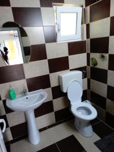 a bathroom with a sink and a toilet and a mirror at Casa Veche Corbeni in Corbeni +53 photos