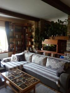 a living room with a couch and a table at Borostyán Ház in Felsőörs