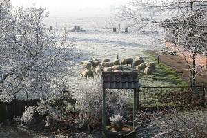 Paesaggio naturale nelle vicinanze del bed & breakfast