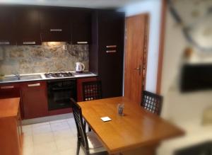 Kuchyň nebo kuchyňský kout v ubytování Studio apartment Jelinek + 37 fotografií
