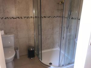 een badkamer met een douche en een toilet bij The Hut in Ventnor