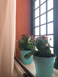 Fotografia z galérie ubytovania La Casa del Fotografo v Ríme