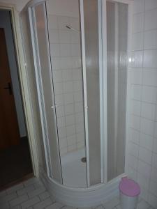 a shower with a glass door in a bathroom at Penzion Vis a Vis in Třebíč