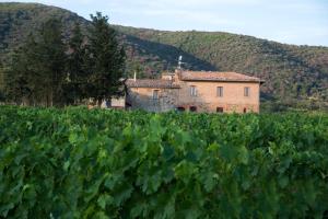 Gallery image of Luce di Vino in Montalcino