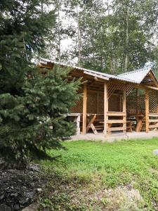 eine Blockhütte im Wald mit einem Baum in der Unterkunft Casa de Vacanta Aurelia in Voineasa