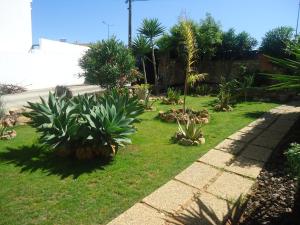 un jardín con plantas en la hierba y una acera en VIVENDA L'OLIVIER, en Quarteira