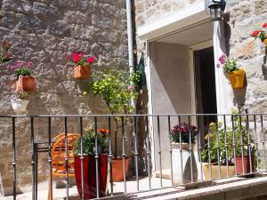 Santa-Lucia-di-TallanoにあるMaison de Vacances - Casa Mezanaccia avec Terrasse fleurie meublé tourisme 3 étoilesのギャラリーの写真