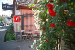 Fotografie z fotogalerie ubytování Pensiunea David v destinaci Târgu-Mureş