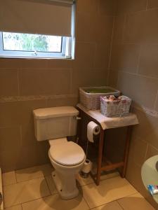 a bathroom with a white toilet and a window at Clarendon in Tallaght