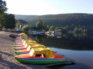 a row of boats lined up on the shore of a lake at Schwarzwald - Villa Appartments Titisee in Titisee-Neustadt